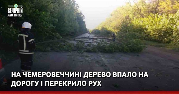 На Чемеровеччині дерево впало на дорогу і перекрило рух