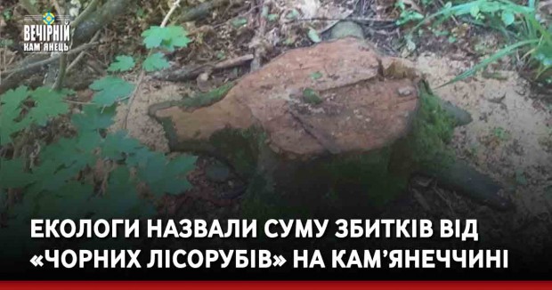 Екологи назвали суму збитків від «чорних лісорубів» на Кам’янеччині