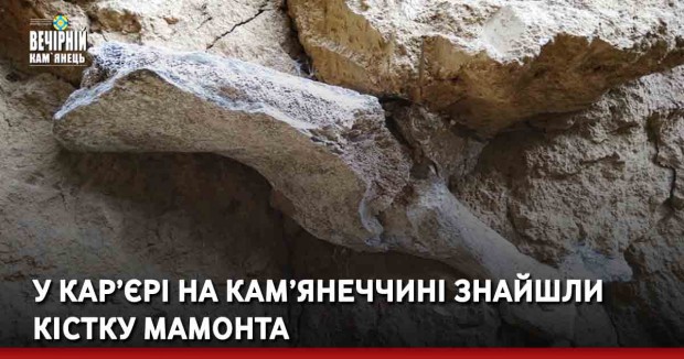 У&nbsp;кар’єрі на Кам’янеччині знайшли кістку мамонта