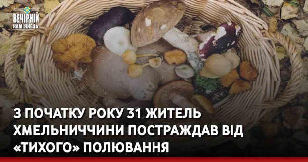 З початку року 31 житель Хмельниччини постраждав від «тихого» полювання
