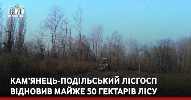 Кам’янець-Подільський лісгосп відновив майже 50 гектарів лісу