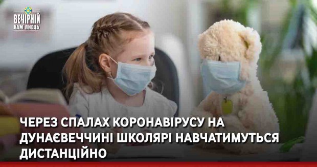Через спалах коронавірусу на Дунаєвеччині школярі навчатимуться дистанційно