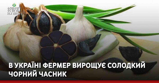 В Україні фермер вирощує солодкий чорний часник
