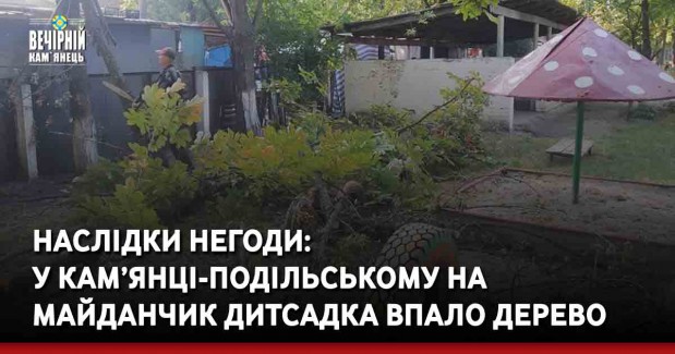 Наслідки негоди: у Кам’янці-Подільському на майданчик дитсадка впало дерево