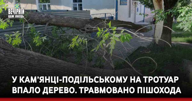 У Кам’янці-Подільському на тротуар впало дерево. Травмовано пішохода