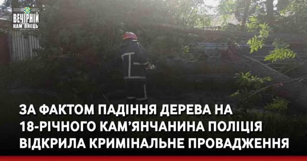 За фактом падіння дерева на 18-річного кам’янчанина поліція відкрила кримінальне провадження