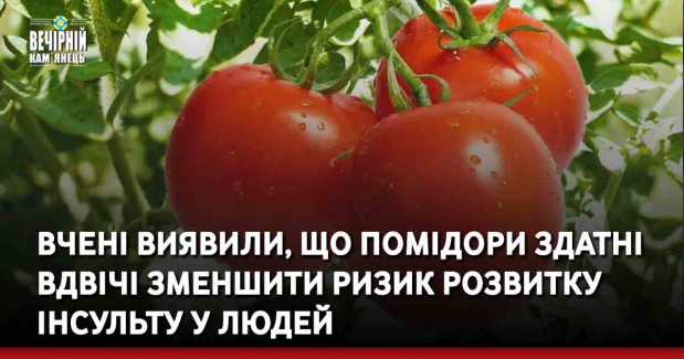 Вчені виявили, що помідори здатні вдвічі зменшити ризик розвитку інсульту у людей