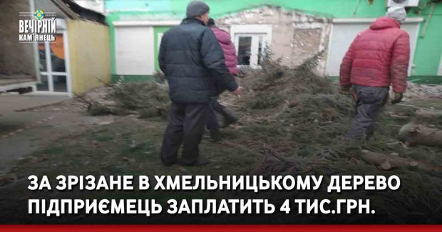 За зрізане в Хмельницькому дерево підприємець заплатить 4 тис.грн.