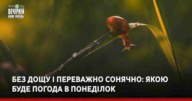 Без дощу і переважно сонячно: якою буде погода в понеділок