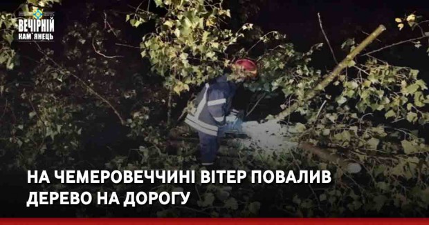 На Чемеровеччині вітер повалив дерево на дорогу