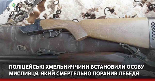 Поліцейські Хмельниччини встановили особу мисливця, який смертельно поранив лебедя