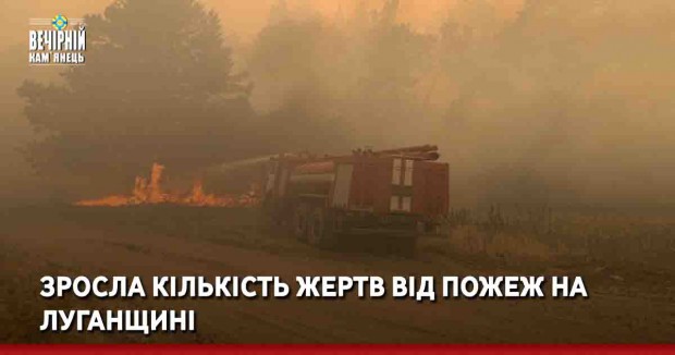 Зросла кількість жертв від пожеж на Луганщині
