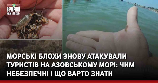 Морські блохи знову атакували туристів на Азовському морі: чим небезпечні і що варто знати