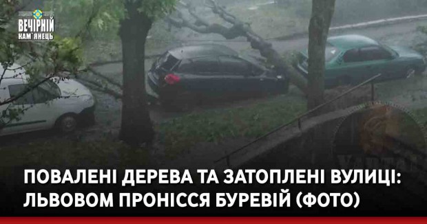 Повалені дерева та затоплені вулиці: Львовом пронісся буревій (ФОТО, ВІДЕО)
