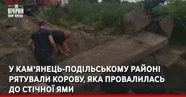 У Кам'янець-Подільському районі рятували корову, яка провалилась до стічної ями