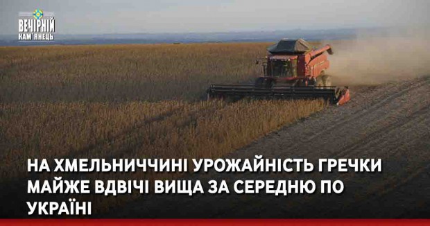 На Хмельниччині урожайність гречки майже вдвічі вища за середню по Україні