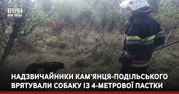 Надзвичайники Кам’янця-Подільського врятували собаку із 4-метрової пастки