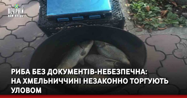 Риба без документів-небезпечна: на Хмельниччині незаконно торгують уловом