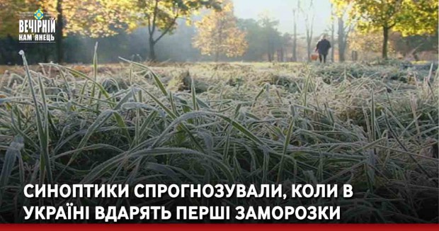 Синоптики спрогнозували, коли в Україні вдарять перші заморозки