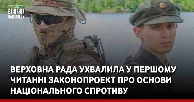 Народні депутати ухвалили у першому читанні законопроект про основи національного спротиву