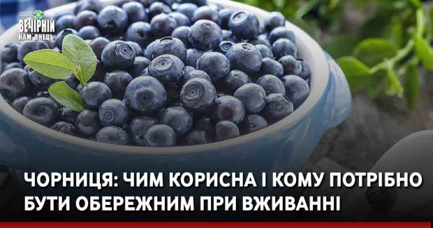 Чорниця: чим корисна і кому потрібно бути обережним при вживанні