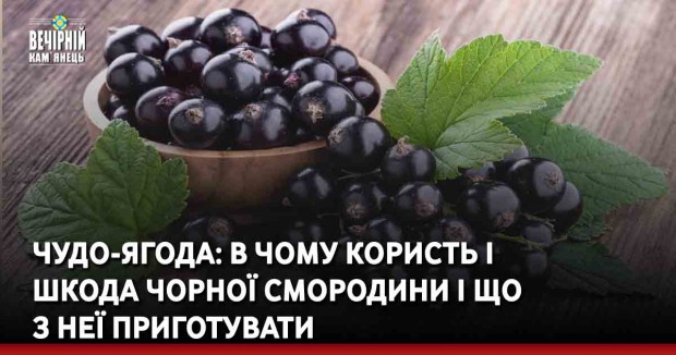 Чудо-ягода: в чому користь і шкода чорної смородини і що з неї приготувати
