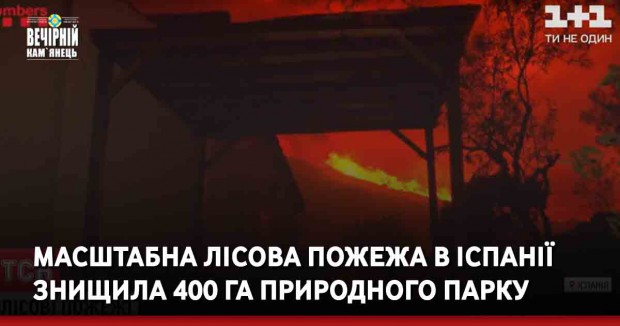 Масштабна лісова пожежа в Іспанії знищила 400 га природного парку