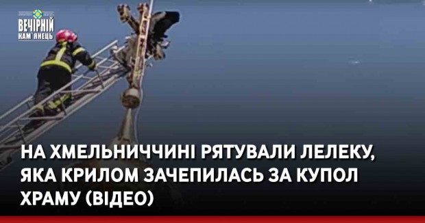 На Хмельниччині рятували лелеку, яка крилом зачепилась за купол храму (ВІДЕО)