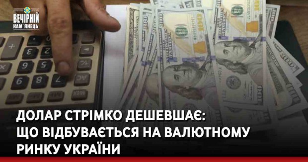 Долар стрімко дешевшає: що відбувається на валютному ринку України
