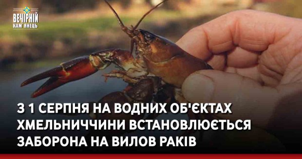 З 1 серпня на водних об'єктах Хмельниччини встановлюється заборона на вилов раків