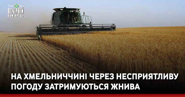 На Хмельниччині через несприятливу погоду затримуються жнива