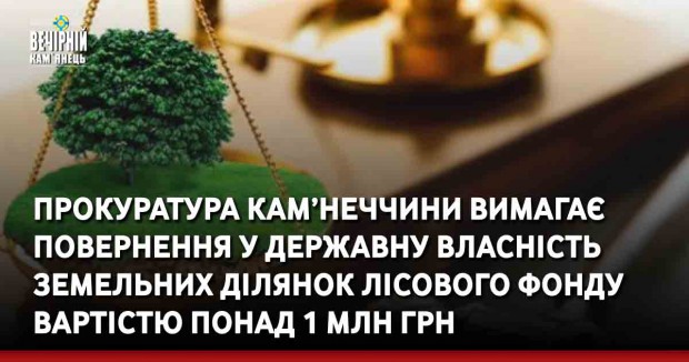 На Кам’янеччині прокуратура вимагає повернення у державну власність земельних ділянок лісового фонду вартістю понад 1 млн грн