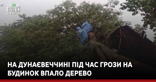 На Дунаєвеччині під час грози на будинок впало дерево