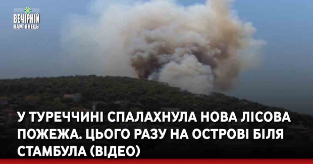 У Туреччині спалахнула нова лісова пожежа. Цього разу на острові біля Стамбула (ВІДЕО)