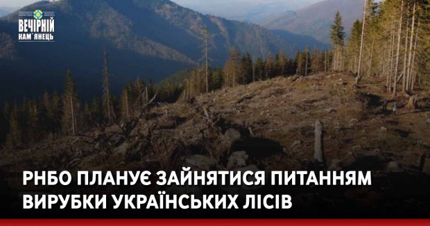 РНБО планує зайнятися питанням вирубки українських лісів