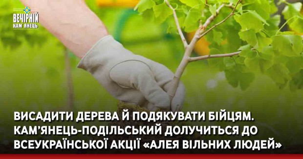 Висадити дерева й подякувати бійцям. Кам’янець-Подільський долучиться до всеукраїнської акції «Алея вільних людей»