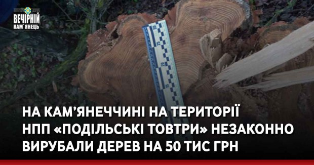 На Кам’янеччині на території НПП «Подільські Товтри» незаконно вирубали дерев на 50 тис грн