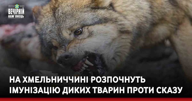 На Хмельниччині розпочнуть імунізацію диких тварин проти сказу