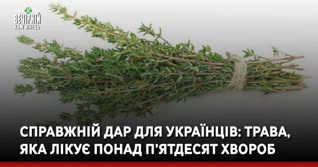Справжній дар для українців: трава, яка лікує понад п’ятдесят хвороб