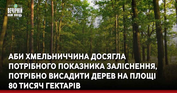 Аби Хмельниччина досягла потрібного показника заліснення, потрібно висадити дерев на площі 80 тисяч гектарів