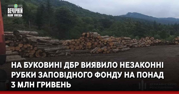 На Буковині ДБР виявило незаконні рубки заповідного фонду на понад 3 млн гривень