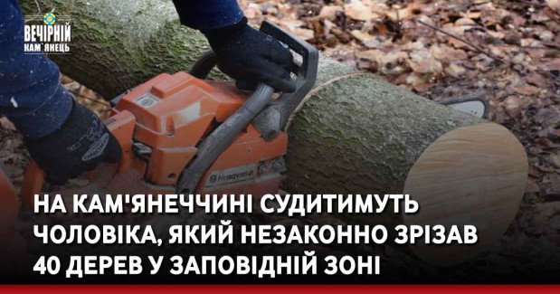 На Кам'янеччині судитимуть чоловіка, який незаконно зрізав 40 дерев у заповідній зоні