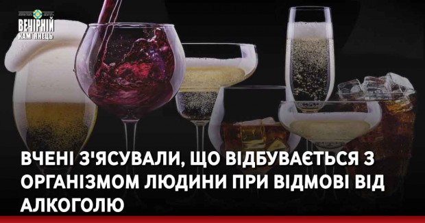 Вчені з'ясували, що відбувається з організмом людини при відмові від алкоголю