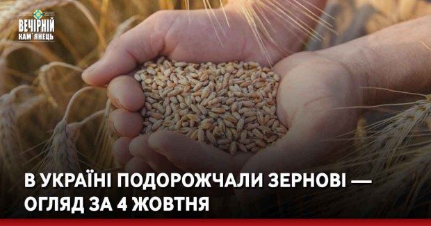 В Україні подорожчали зернові — огляд за 4 жовтня
