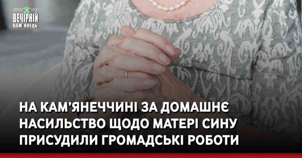 На Кам’янеччині за домашнє насильство щодо матері сину присудили громадські роботи