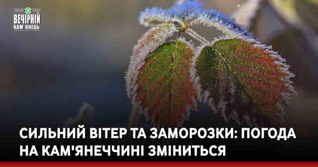Сильний вітер та заморозки: погода на Кам'янеччині зміниться