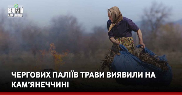 Чергових паліїв трави виявили на Кам’янеччині