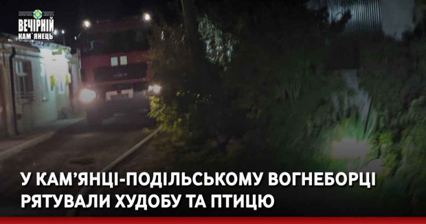 у Кам’янці-Подільському вогнеборці рятували худобу та птицю