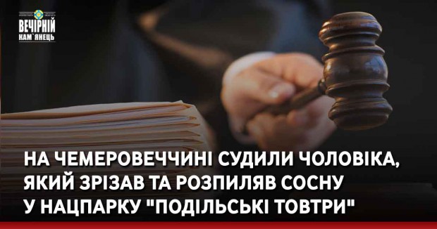 На Чемеровеччині судили чоловіка, який зрізав та розпиляв сосну  у Нацпарку "Подільські Товтри"