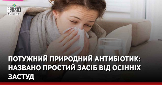 Потужний природний антибіотик: названо простий засіб від осінніх застуд